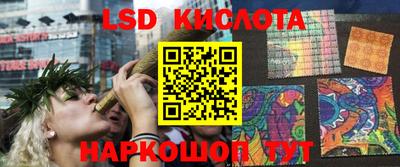 прущие грибы Кингисепп