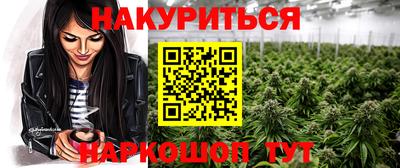 прущие грибы Кингисепп
