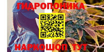 прущие грибы Кингисепп