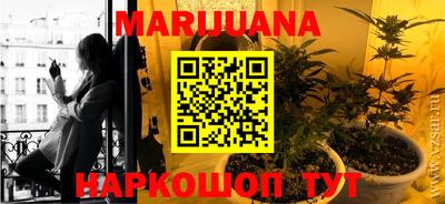 прущие грибы Кингисепп