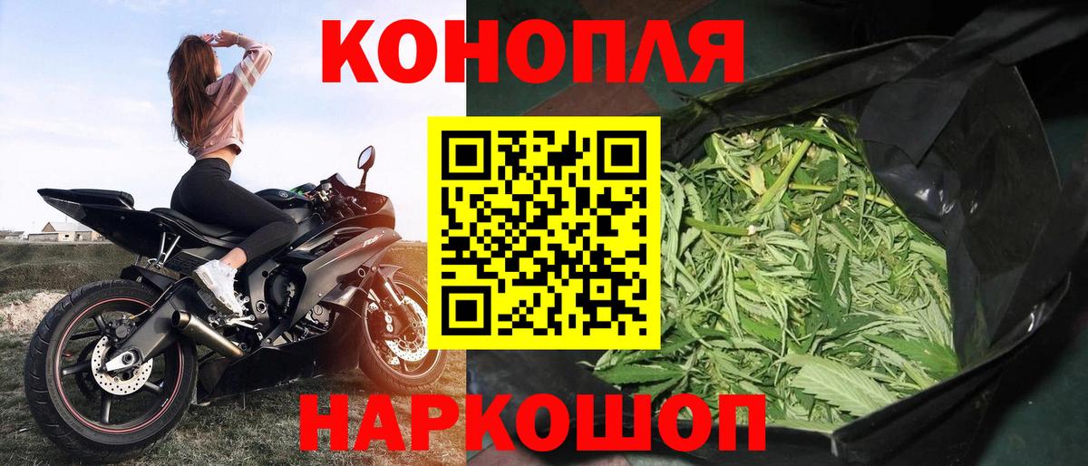Бошки Шишки семена Котовск